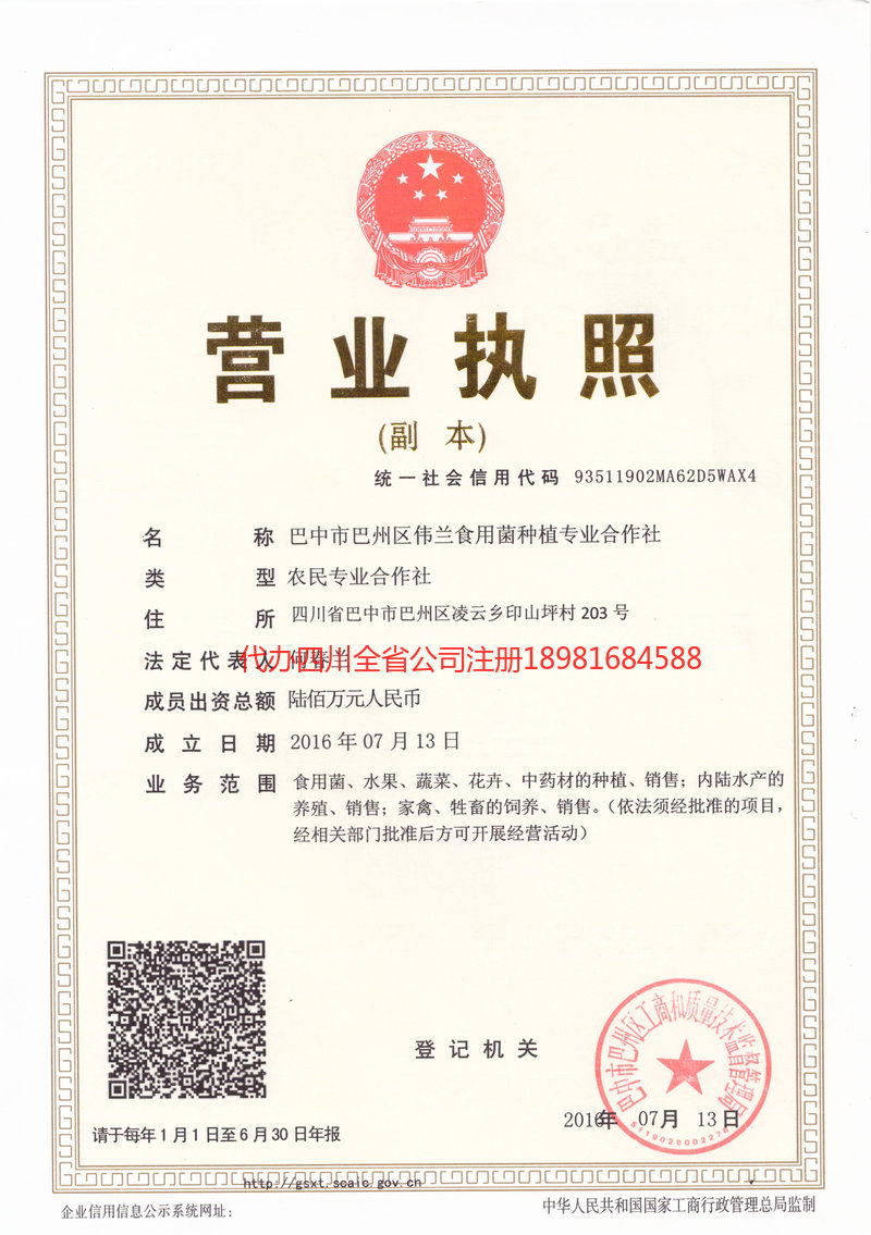 庐山庐山伟兰食用菌种植专业合作社